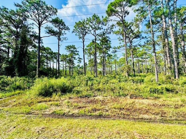 Land for sale in Eastpoint, Florida