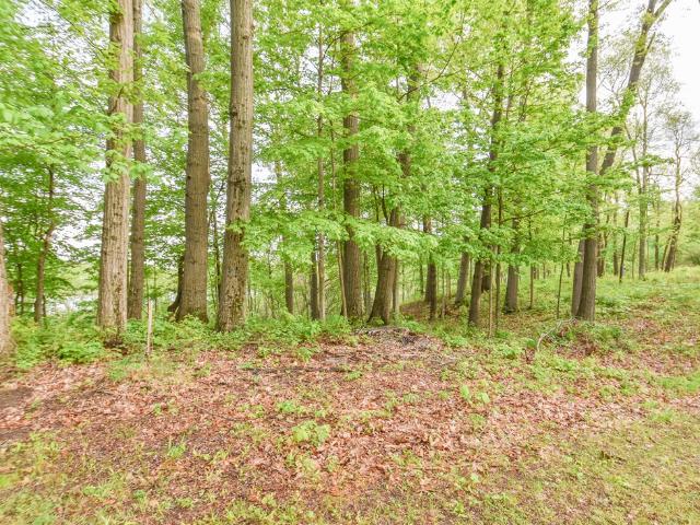 Land for sale in Reading Township, Hillsdale County