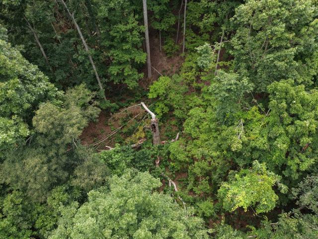 Land for sale in Tennessee
