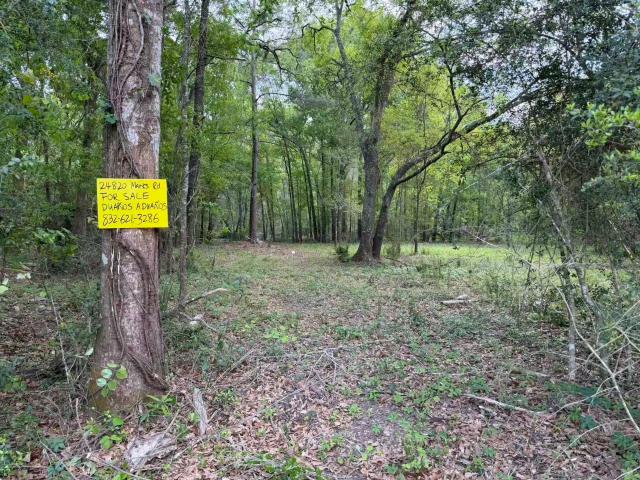 Land for sale in Splendora, Texas