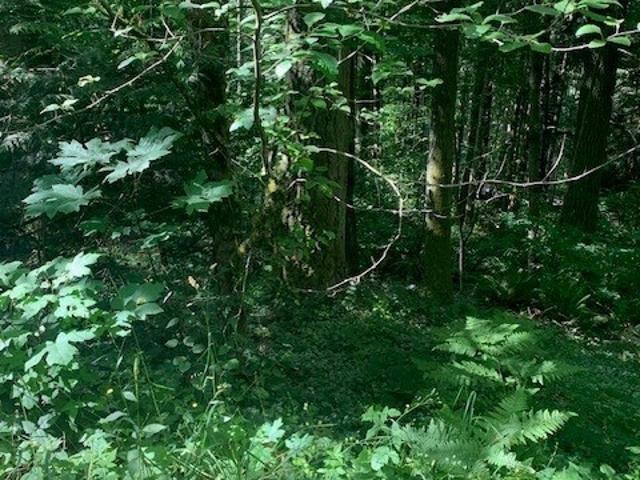 Land for sale in Issaquah, Washington
