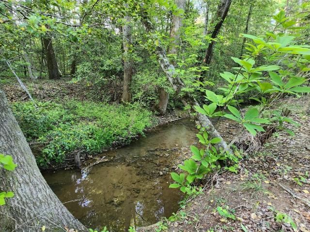 Land for sale in Granite Falls, North Carolina