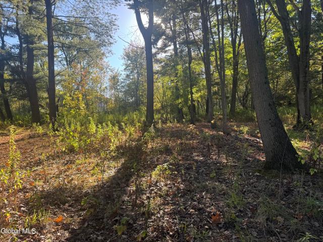 Land for sale in Niskayuna, New York