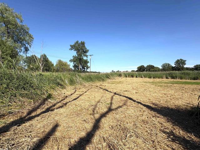 Land for sale in Michigan
