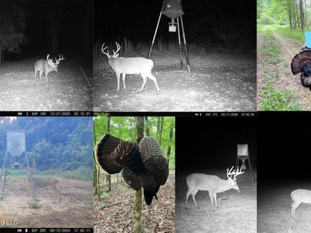 Land for sale in Fayette, Mississippi