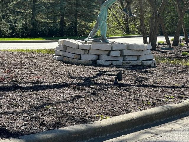 Land for sale in Shorewood, Illinois