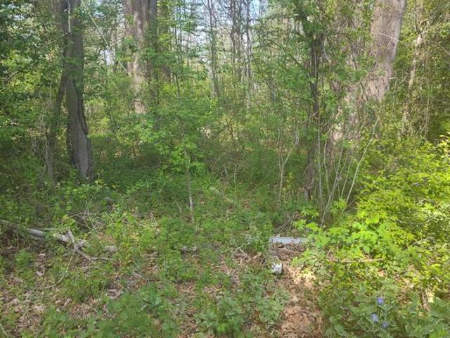 Land for sale in Gambrills