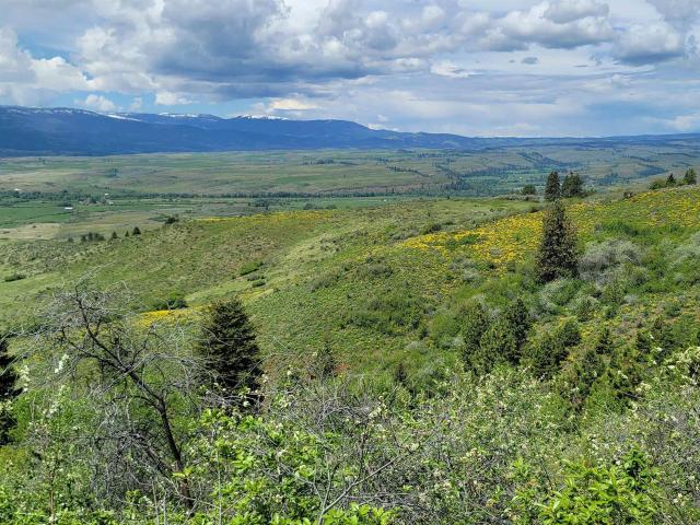 Farm for sale in Council, Idaho