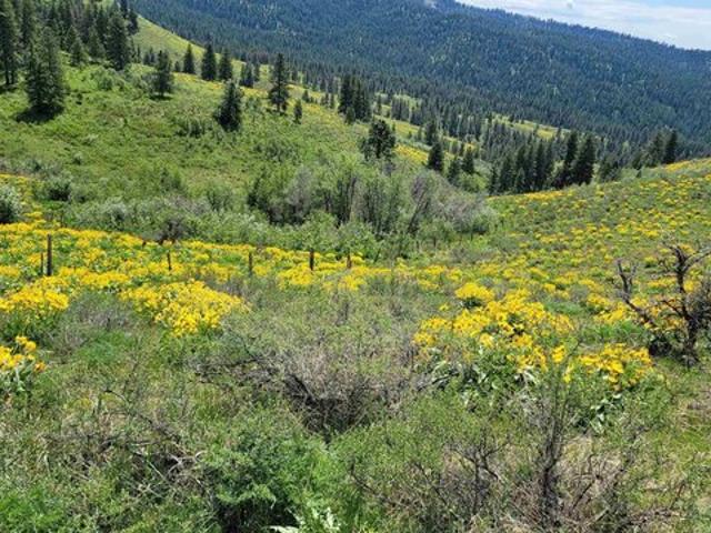 House for sale in Council, Idaho