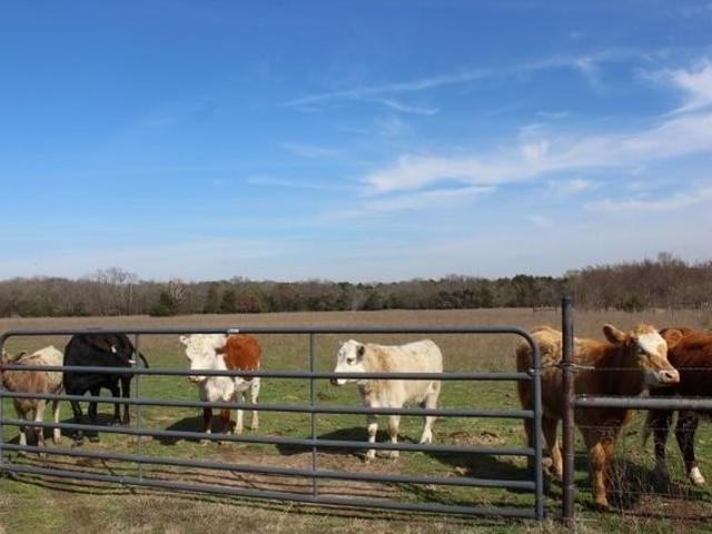 Land for sale in Rains, Texas