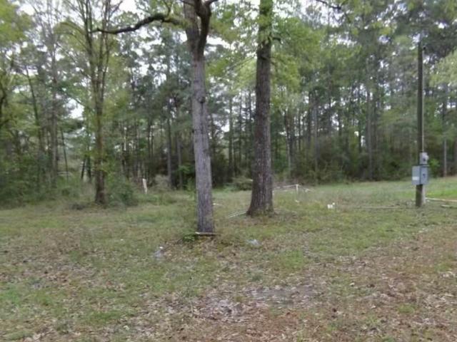 Land for sale in Pleasant Hill, Corrigan