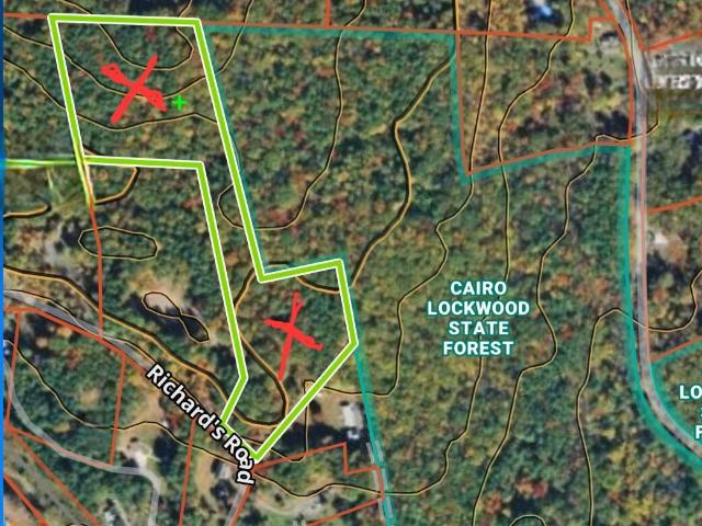 Land for sale in Town of Cairo, Greene County