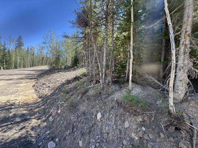 Land for sale in Brian Head, Utah