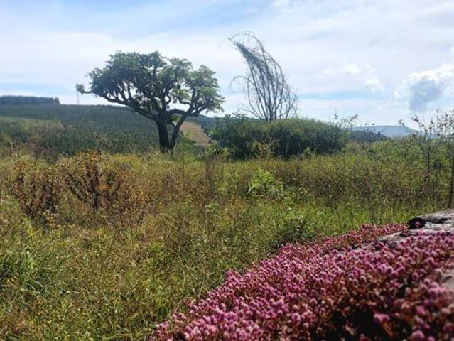 Land for sale in Ehlanzeni, Mpumalanga