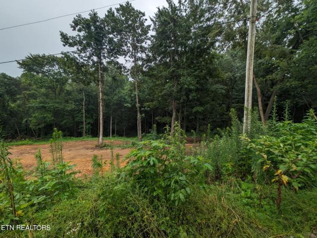 Land for sale in Tennessee