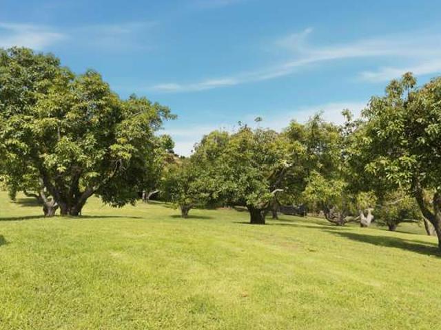 Land for sale in Bay Of Plenty