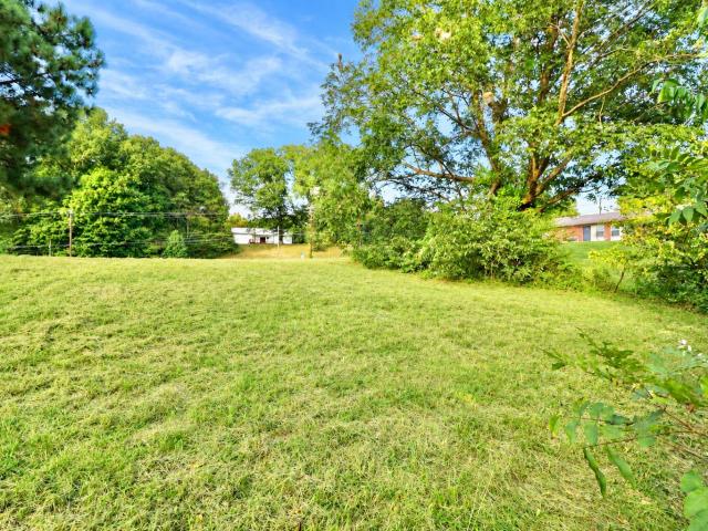 Land for sale in Bardwell, Carlisle County
