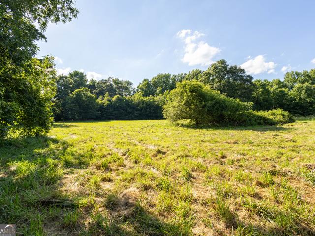 Land for sale in Canon, Georgia