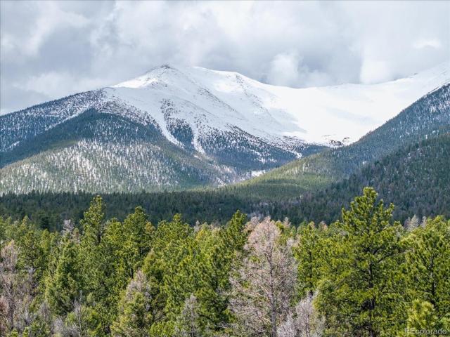 Land for sale in Buena Vista