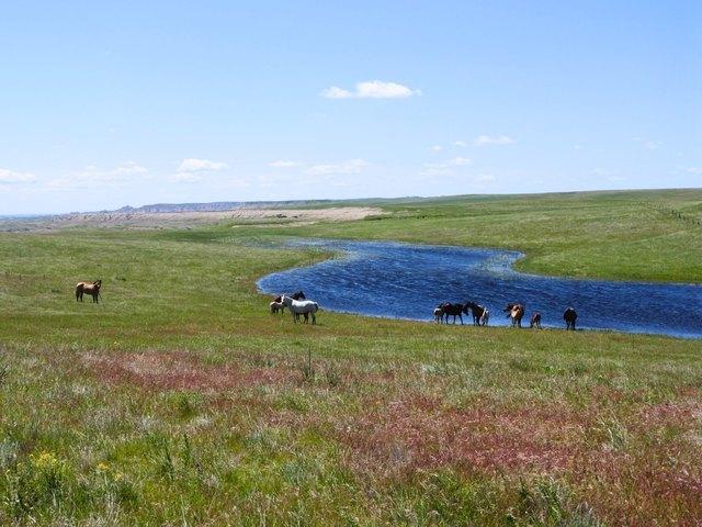 Farm for sale in South Dakota