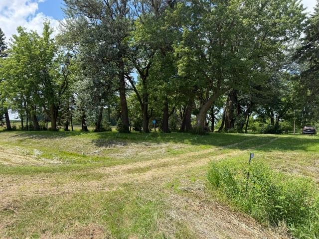 Land for sale in Westbrook, Minnesota