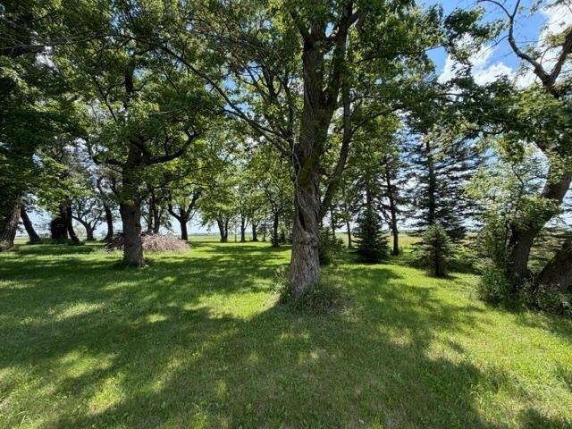 Land for sale in Westbrook, Minnesota