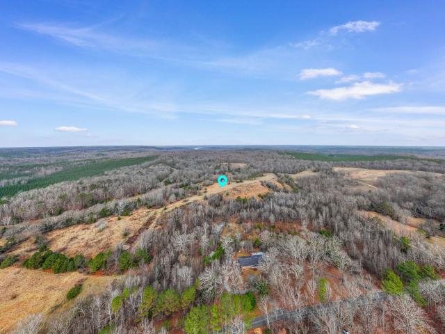 Land for sale in Alabama