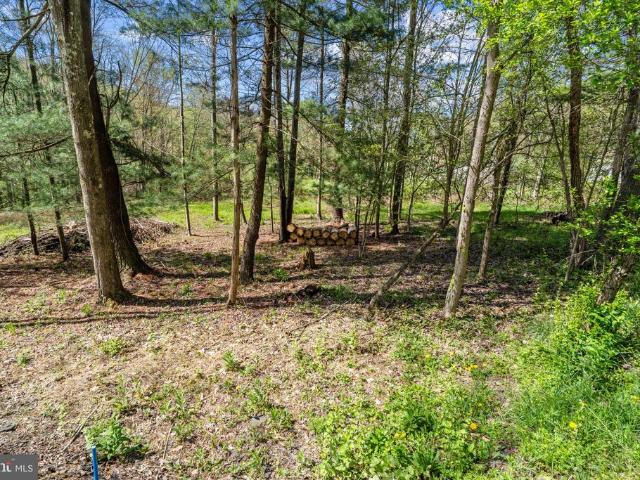 Land for sale in Olanta, Pike Township