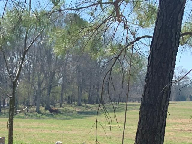 Land for sale in Statham, Georgia
