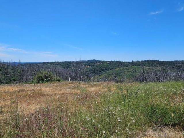 Land for sale in Colfax, California