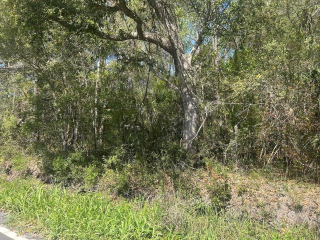 Land for sale in South Carolina