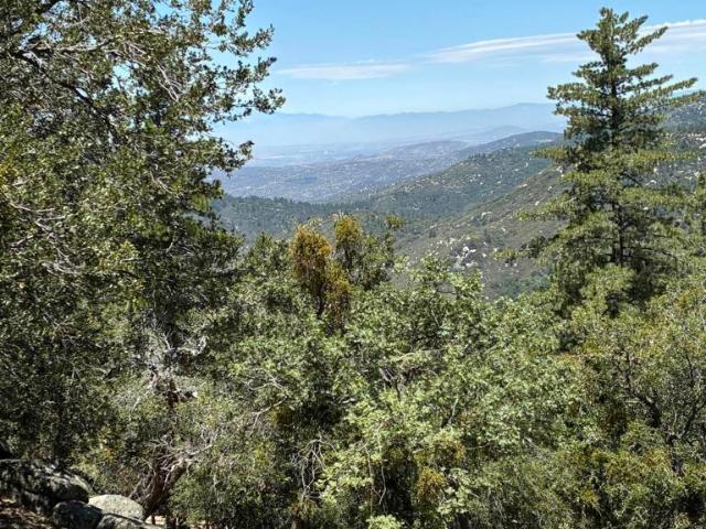 House for sale in Idyllwild, California