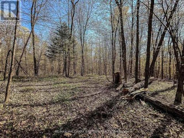 Land for sale in Highlands East, Ontario