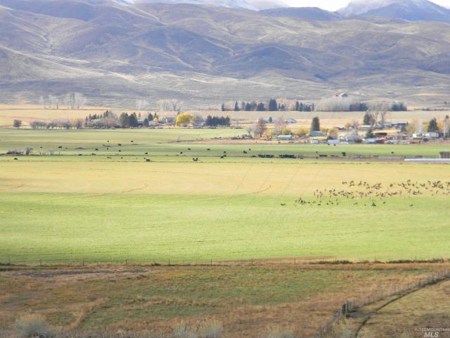 Farm for sale in Challis, Idaho