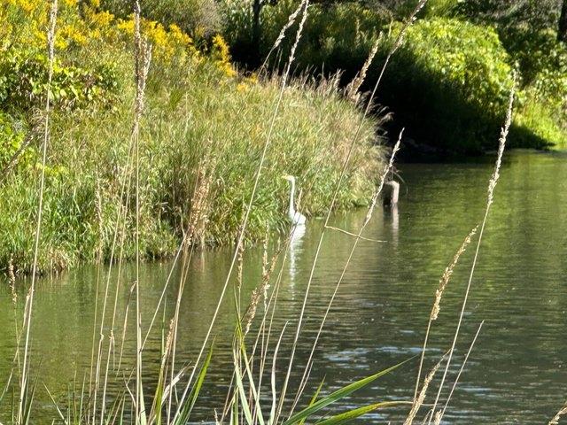 Land for sale in Village of Deposit, Town of Sanford