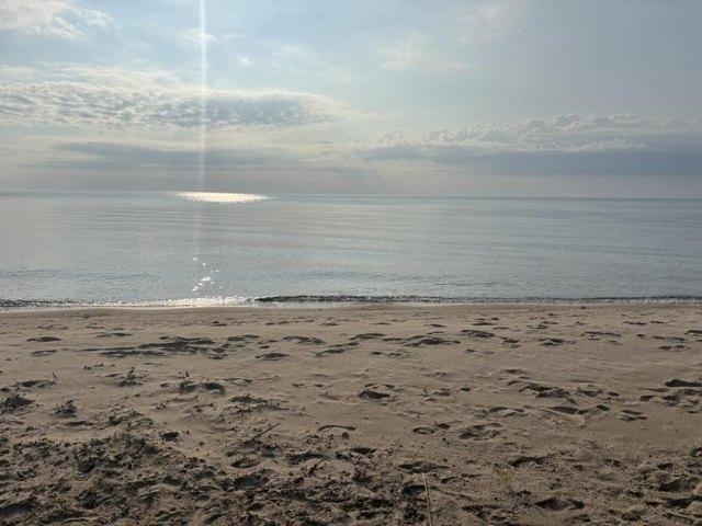 Land for sale in Greenbush, Michigan