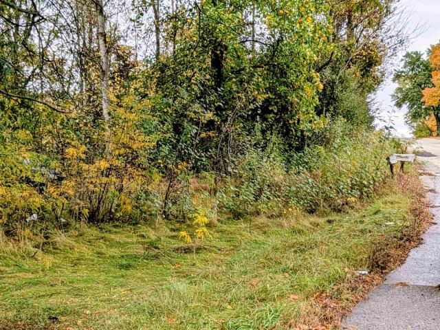 Land for sale in Isabella, Michigan
