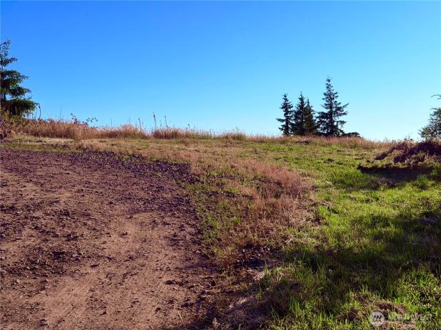 Land for sale in Kalama, Washington