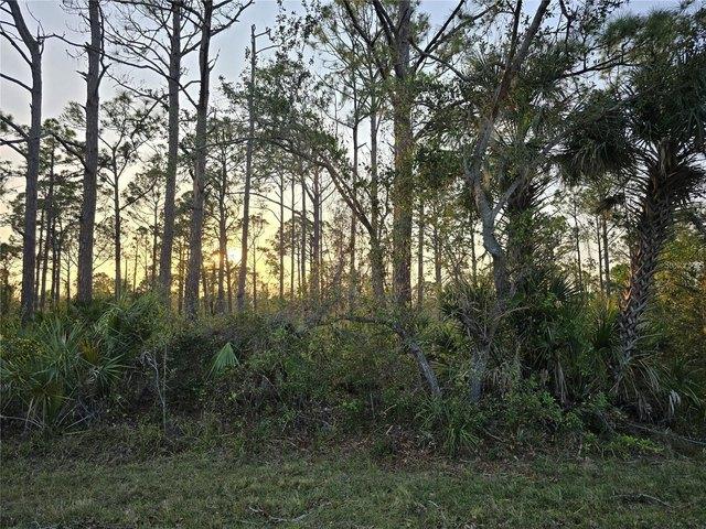 Land for sale in Port Charlotte, Florida