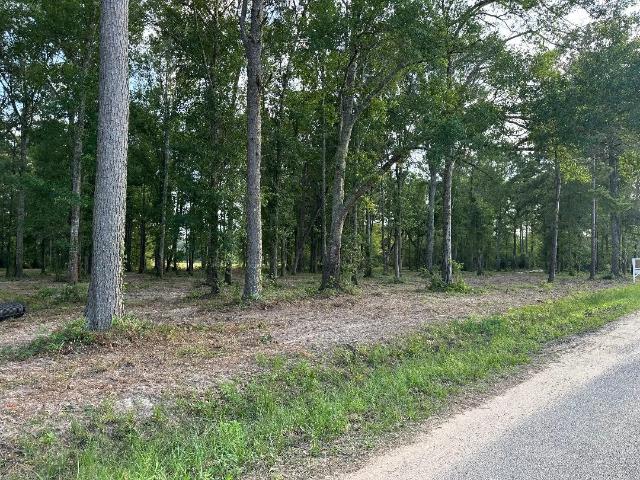 Land for sale in Splendora, Texas