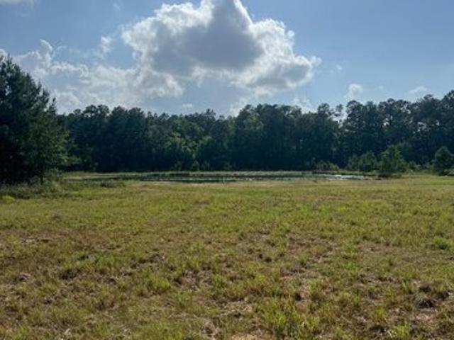 Land for sale in Splendora, Texas