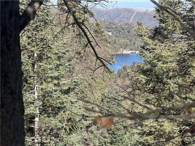 Land for sale in Cedarpines Park, California