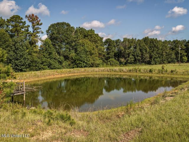 Land for sale in Mississippi