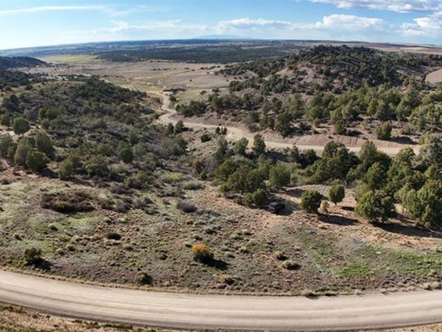 Land for sale in Dolores, Montezuma County
