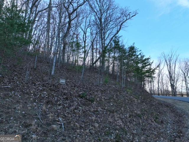Land for sale in Gilmer, Georgia
