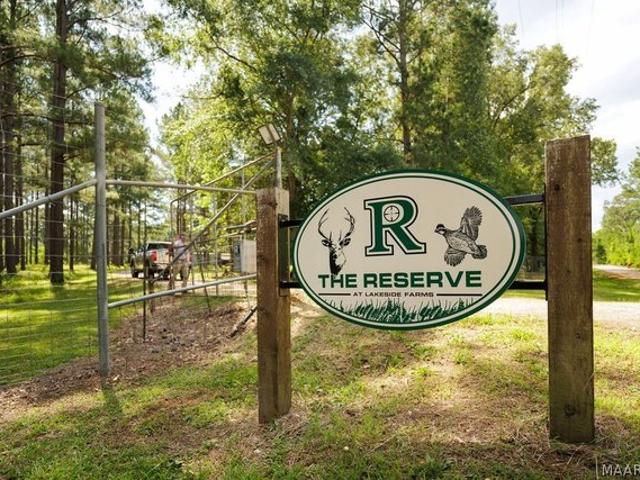 Land for sale in Alabama