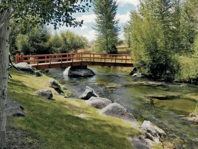 Farm for sale in Picabo, Idaho