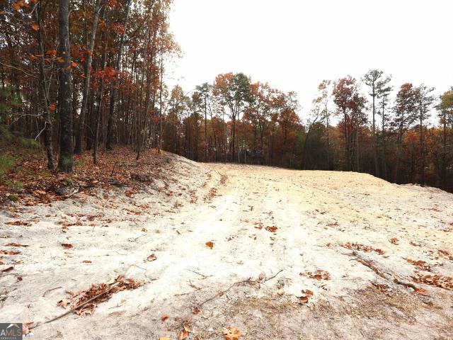 Land for sale in Summerville, Georgia