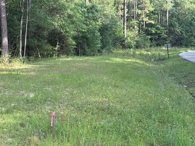 Land for sale in Picayune, Mississippi