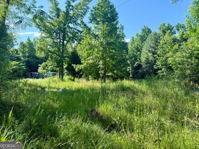 Land for sale in Lyerly, Georgia